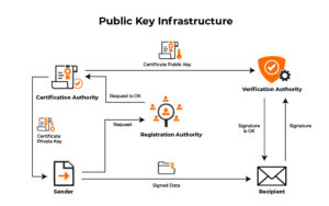 What Is PKI? And How Does It Secure Information Online?