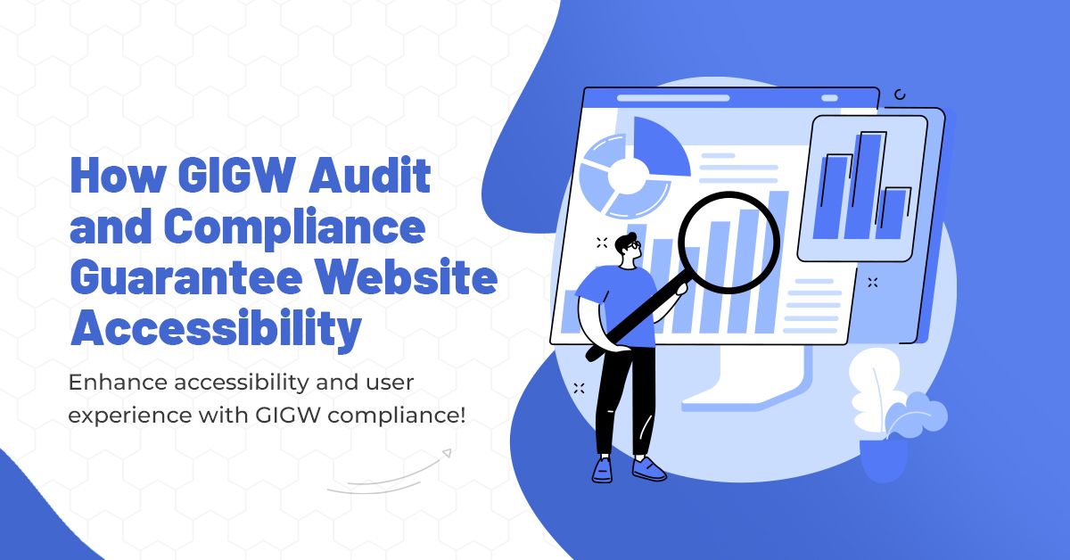 GIGW Audit